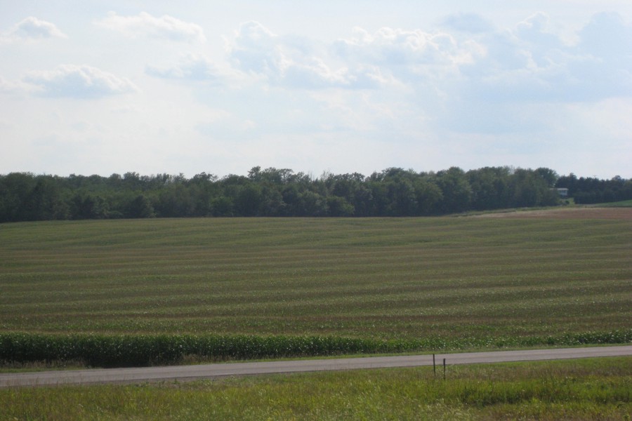 ../image/corn field stripes 2.jpg